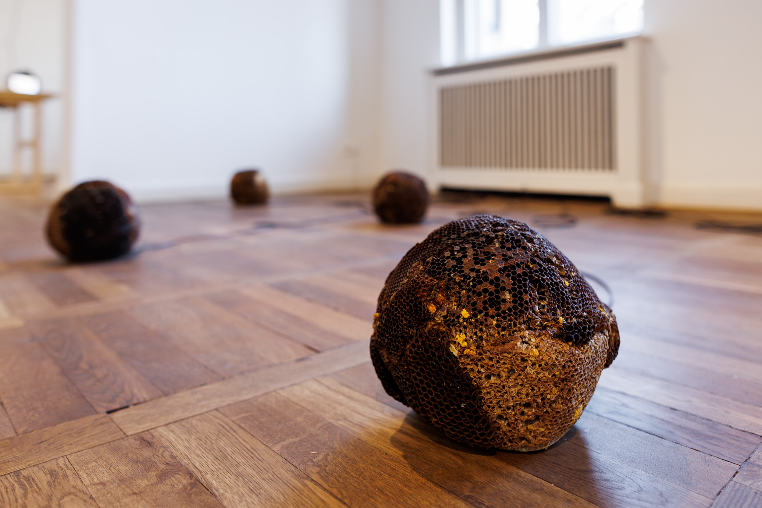 Margaret Raspé · HAUS AM WALDSEE