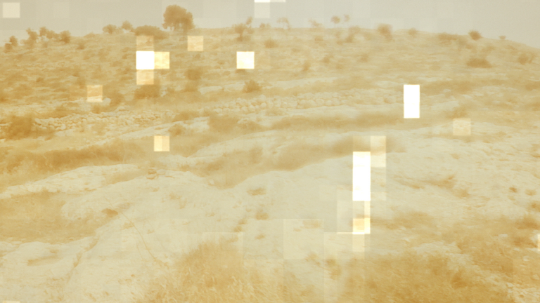 Beverly Buchanan / Berlin: Public Programme for an Exhibition